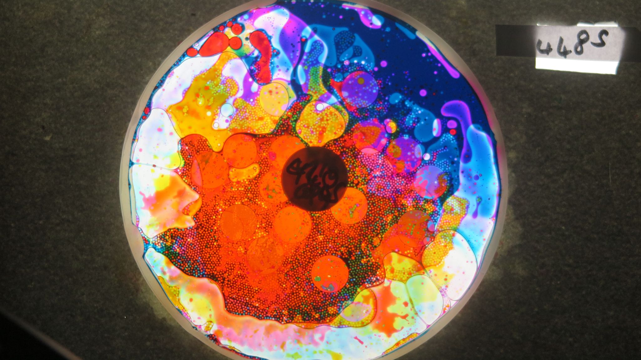 BV4485 bubble vision oil wheel